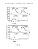 ION CHANNEL ASSAY METHODS diagram and image