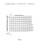 ION CHANNEL ASSAY METHODS diagram and image