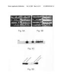 Use of genetically modified organisms to generate biomass degrading enzymes diagram and image