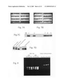 Use of genetically modified organisms to generate biomass degrading enzymes diagram and image