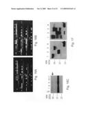 Use of genetically modified organisms to generate biomass degrading enzymes diagram and image