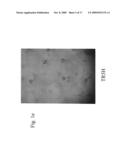 Nucleotide sequences for regulating gene expression in plant trichomes and constructs and methods utilizing same diagram and image