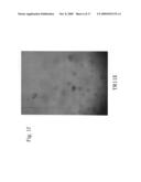 Nucleotide sequences for regulating gene expression in plant trichomes and constructs and methods utilizing same diagram and image