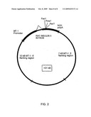 GROWTH FACTOR HOMOLOG ZVEGF4 diagram and image