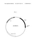 MICROORGANISM PRODUCING L-METHIONINE PRECURSOR AND THE METHOD OF PRODUCING L-METHIONINE PRECURSOR USING THE MICROORGANISM diagram and image