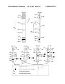 POSITIVE DETECTION LATERAL-FLOW APPARATUS AND METHOD FOR SMALL AND LARGE ANALYTES diagram and image