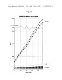 OPIORPHIN PEPTIDE DERIVATIVES AS POTENT INHIBITORS OF ENKEPHALIN-DEGRADING ECTOPEPTIDASES diagram and image