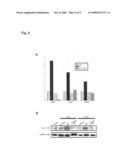 Combined treatment with radiation and an epidermal growth factor receptor kinase inhibitor diagram and image