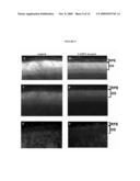 MODULATORS OF OCULAR OXIDATIVE STRESS diagram and image