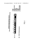 Isolation of a rearranged human immunoglobulin gene from a chimeric mouse and recombinant production of the encoded immunoglobulin diagram and image