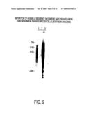 Isolation of a rearranged human immunoglobulin gene from a chimeric mouse and recombinant production of the encoded immunoglobulin diagram and image