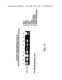 Isolation of a rearranged human immunoglobulin gene from a chimeric mouse and recombinant production of the encoded immunoglobulin diagram and image