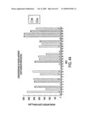 Isolation of a rearranged human immunoglobulin gene from a chimeric mouse and recombinant production of the encoded immunoglobulin diagram and image