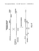 Isolation of a rearranged human immunoglobulin gene from a chimeric mouse and recombinant production of the encoded immunoglobulin diagram and image