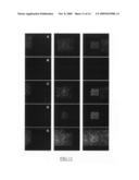 Detection of Immobilized Contrast Agent in Medical Imaging Applications Based on Flow Dynamics Analysis diagram and image