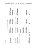 Digital information infrastructure and method diagram and image