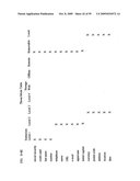 Digital information infrastructure and method diagram and image