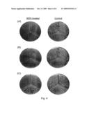 Biofilm-Inhibiting Catheters and Tubings diagram and image