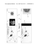 DIRECTING CAMERA BEHAVIOR IN 3-D IMAGING SYSTEM diagram and image