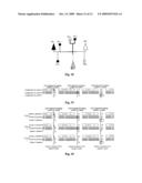 TRANSMISSION METHOD, SYSTEM, TRANSMITTER, RECEIVER AND METHOD FOR REALIZING INFORMATION TRANSMISSION diagram and image