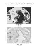 CLASSIFICATION OF SAMPLES diagram and image