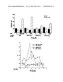 NGR receptor and methods of identifying tumor homing molecules that home to angiogenic vasculature using same diagram and image