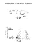 NGR receptor and methods of identifying tumor homing molecules that home to angiogenic vasculature using same diagram and image