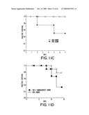 NGR receptor and methods of identifying tumor homing molecules that home to angiogenic vasculature using same diagram and image