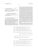 NGR receptor and methods of identifying tumor homing molecules that home to angiogenic vasculature using same diagram and image