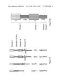 Therapeutic compositions and methods diagram and image