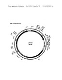 PROTOFIBRIL SELECTIVE ANTIBODIES AND THE USE THEREOF diagram and image