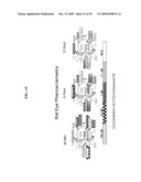 Topical LFA-1 antagonists for use in localized treatment of immune related disorders diagram and image