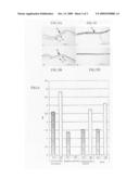 Dried amnion and method for drying teatment of amnion diagram and image