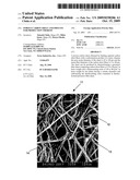 POROUS CARBON SHEET AND PROCESS FOR PRODUCTION THEREOF diagram and image