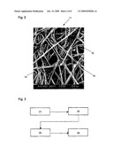 POROUS CARBON SHEET AND PROCESS FOR PRODUCTION THEREOF diagram and image