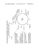 Compositions and Methods for Detecting Bacteria diagram and image