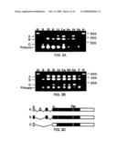 VARIANT TLR4 NUCLEIC ACID AND USES THEREOF diagram and image