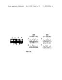 VARIANT TLR4 NUCLEIC ACID AND USES THEREOF diagram and image