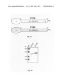 Prokaryotic collagen-like proteins and uses thereof diagram and image