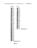 Prokaryotic collagen-like proteins and uses thereof diagram and image