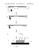 Method for universal biodetection of antigens and biomolecules diagram and image