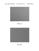 METHOD OF PROVIDING PARTICLES HAVING BIOLOGICAL-BINDING AREAS FOR BIOLOGICAL APPLICATIONS diagram and image