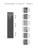 METHOD OF PROVIDING PARTICLES HAVING BIOLOGICAL-BINDING AREAS FOR BIOLOGICAL APPLICATIONS diagram and image