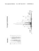 Reagents for the detection of protein phosphorylation in carcinoma signaling pathways diagram and image