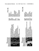 BIOMARKERS FOR INFLAMMATORY BOWEL DISEASE diagram and image