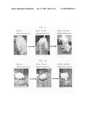 TRIAZINE DERIVATIVE COMPOUND AND COMPOSITION FOR TREATING CANCER CONTAINING THEM diagram and image