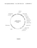 CHIMERIC AND HUMANIZED ANTIBODIES TO alpha5beta1 INTEGRIN THAT MODULATE ANGIOGENESIS diagram and image