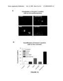 CHIMERIC AND HUMANIZED ANTIBODIES TO alpha5beta1 INTEGRIN THAT MODULATE ANGIOGENESIS diagram and image
