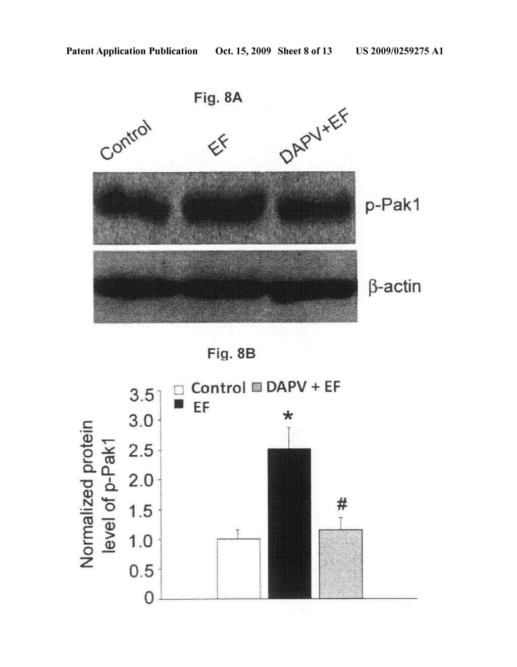 METHODS OF TREATING BRAIN DAMAGES - diagram, schematic, and image 09