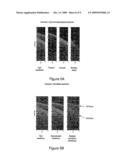 METHODS AND SYSTEMS FOR PROCESSING ACOUSTIC WAVEFORM DATA diagram and image